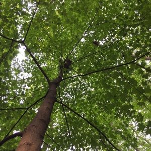 Meet your Posher, Patrick