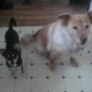 Meet your Posher, Mike