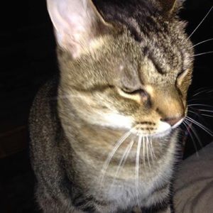 Meet your Posher, Catherine