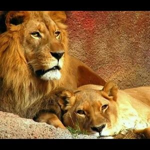 Meet your Posher, Arod