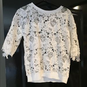 Gorgeous lace see through sweater top by Dolan!
