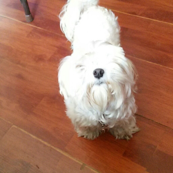 Meet your Posher, Debbie