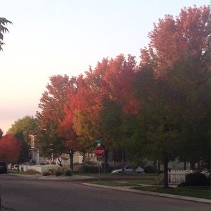 Meet your Posher, Amilee