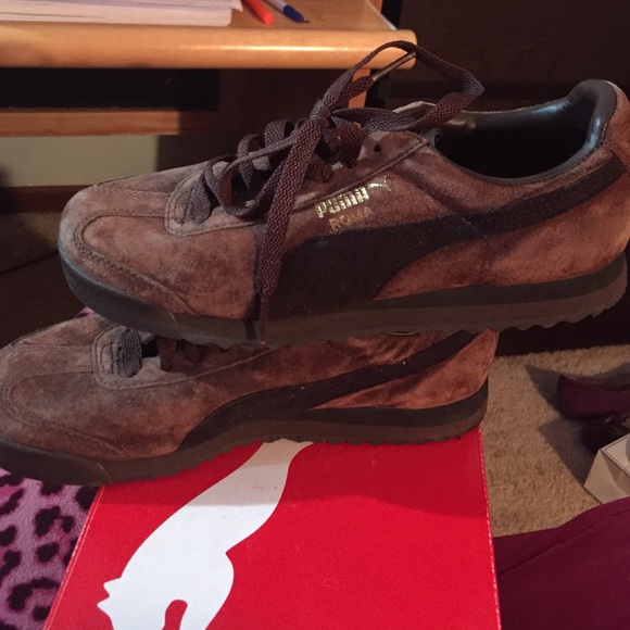 Chocolate brown puma romas