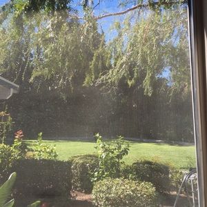 Meet your Posher, Serena