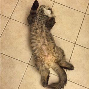 Meet your Posher, Jess