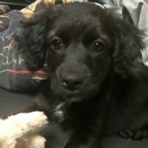 Meet your Posher, Jordan