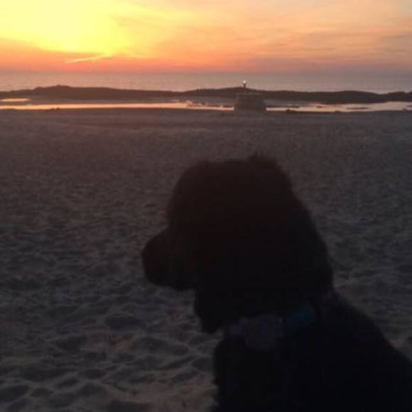 Meet your Posher, Cronk