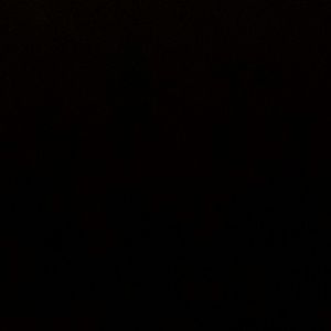 Meet your Posher, Kelsie