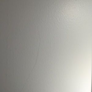 Meet your Posher, Randi