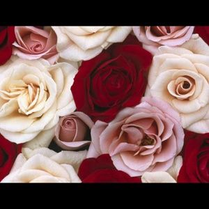 Meet your Posher, Lorren