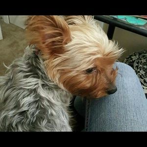 Meet your Posher, Megan