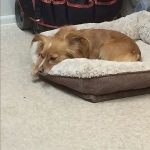 Meet your Posher, Randi