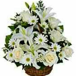 Meet your Posher, Jayne