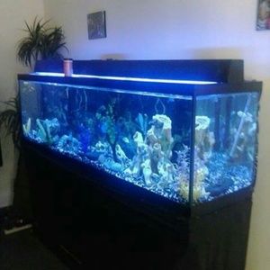 Fish tank and stuff inside don't have the stand an