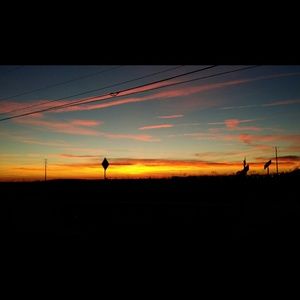 Meet your Posher, Tyrone