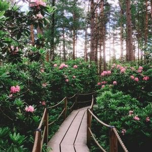 Meet your Posher, Gigi