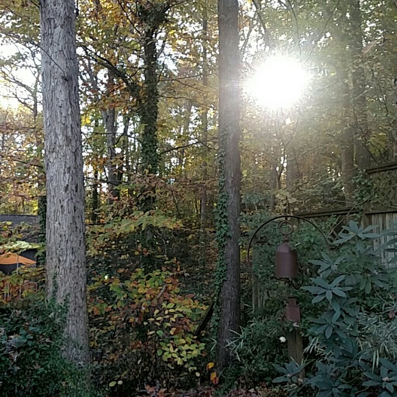 Meet your Posher, Jessica - Picture 2 of 2