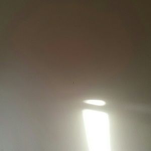 Meet your Posher, Jan