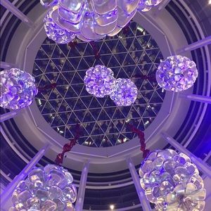 Meet your Posher, Savannah