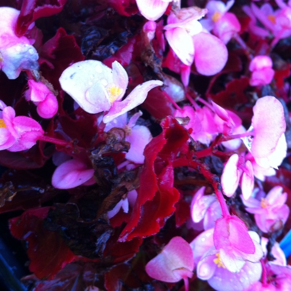 Meet your Posher, Andy