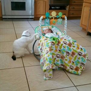 Meet your Posher, Molly