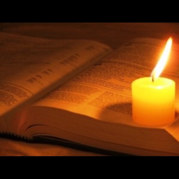 Meet your Posher, Lela - Picture 4 of 4