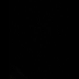 Meet your Posher, Ragen