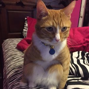 Meet your Posher, Kathleen