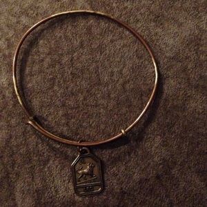 Original Alex and Ani Leo Charm