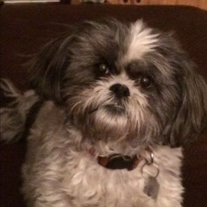 Meet your Posher, Shawn