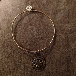 Alex and Ani Gold compass