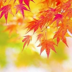 Meet your Posher, Terina