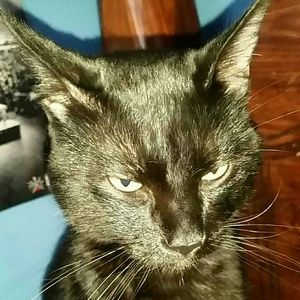 Meet your Posher, Patricia