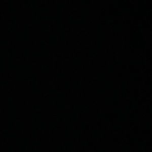 Meet your Posher, Tamara