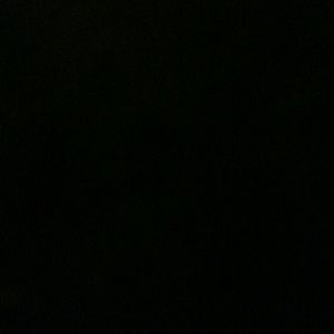 Meet your Posher, Dee