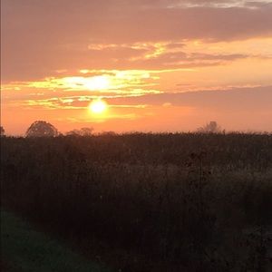 Meet your Posher, Rhonda