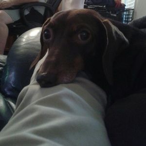 Meet your Posher, Amy