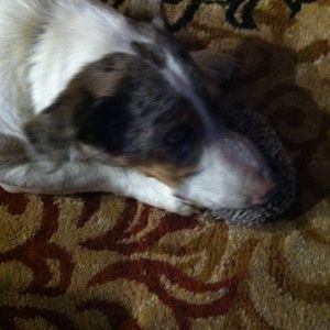 Meet your Posher, Kathryn