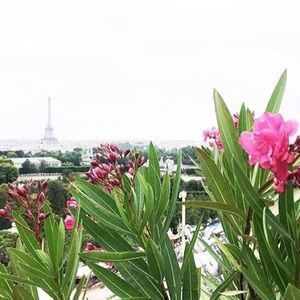 Meet your Posher, Jamie