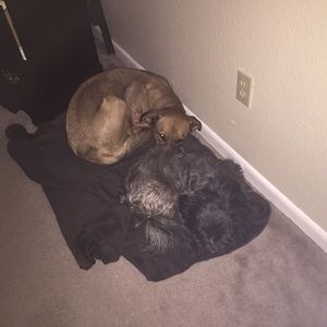 Meet your Posher, Heidi