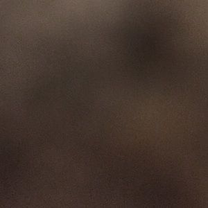 Meet your Posher, Bing