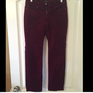 BUNDLE of 4 pairs of size 2 PETITE pants