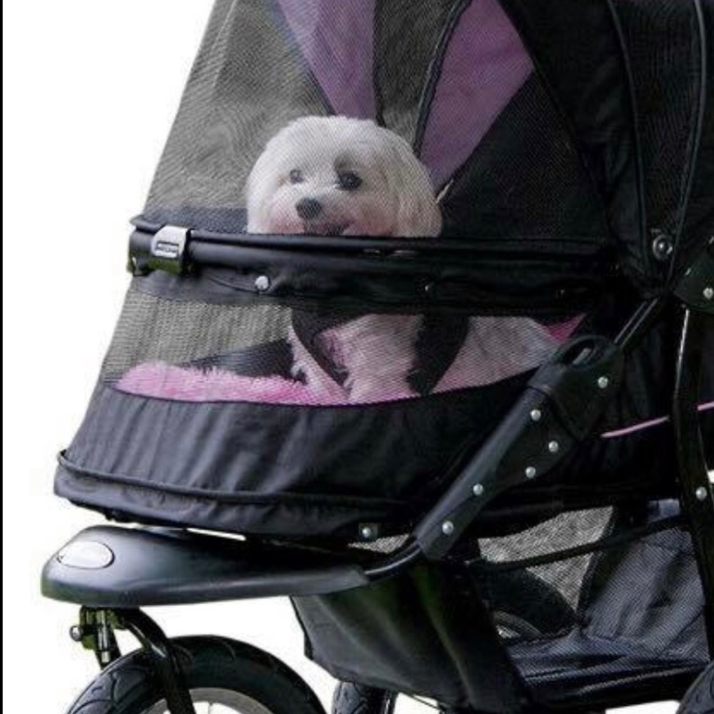 Meet your Posher, Miss bless