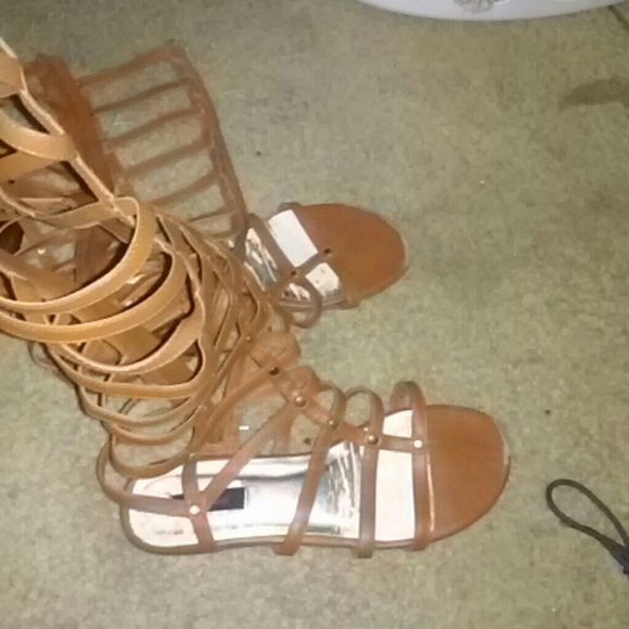 Tan/brown gladiator sandals