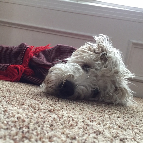 Meet your Posher, Amanda - Picture 1 of 1