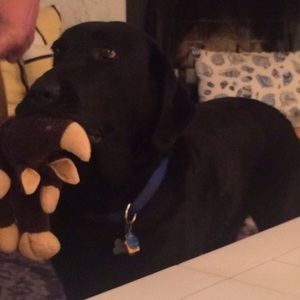 Meet your Posher, Veronica