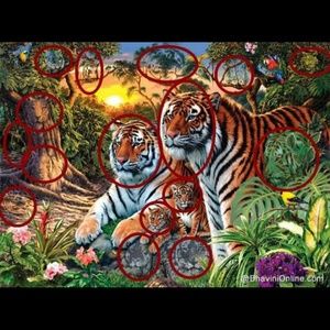 Meet your Posher, saida