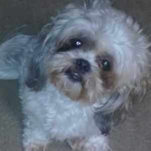 Meet your Posher, Arturo