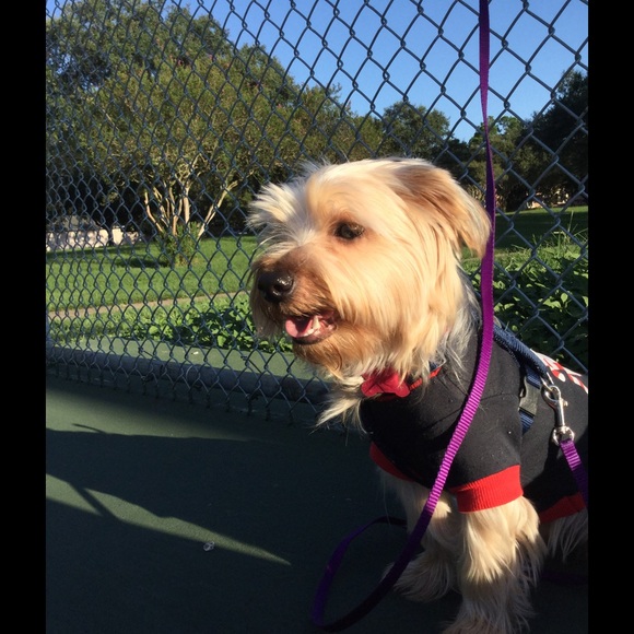 Meet your Posher, H ye mi - Picture 1 of 1